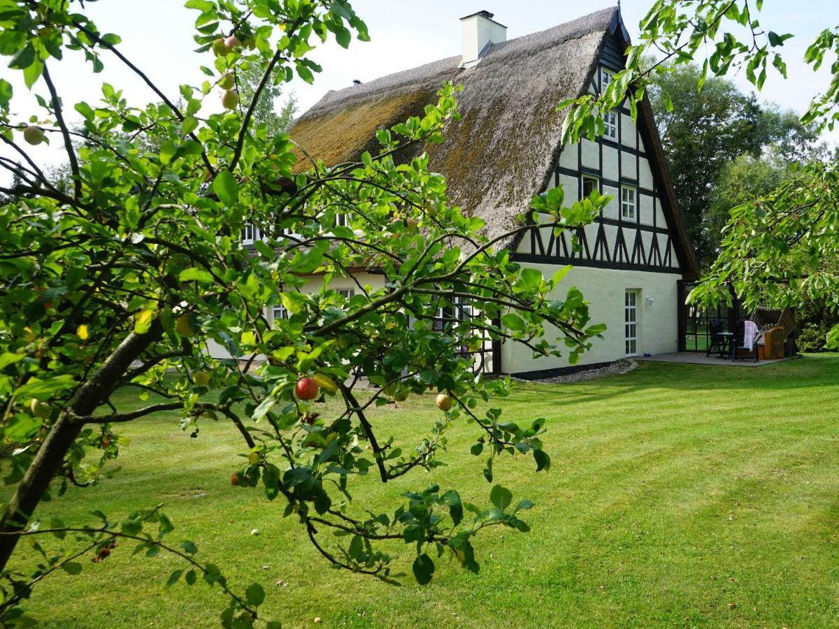 Haus Bela Daire Nonnevitz Dış mekan fotoğraf
